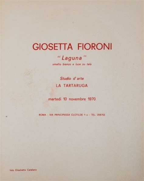 Giosetta Fioroni La Tartaruga Roma S T Foto Libreria Galleria