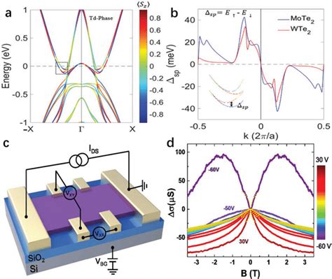 A Spin Texture Of The Wte2 Bilayers The Color Bar Shows The Download Scientific Diagram