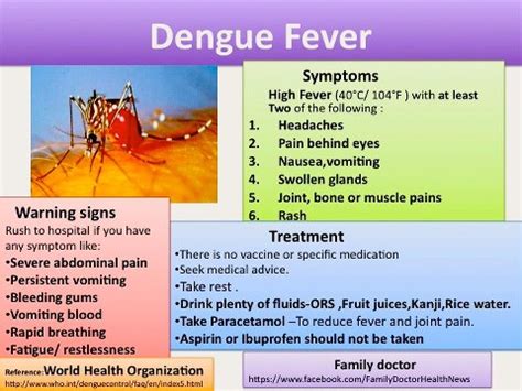 Dengue Fever Causes And Symptoms Useful One