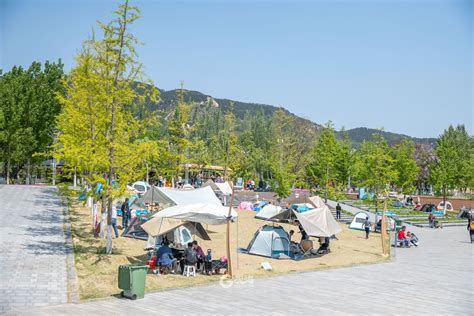 五月嗨玩青岛 露营、赏花、游园市民“扎堆”玩转世博园 青报网 青岛日报官网