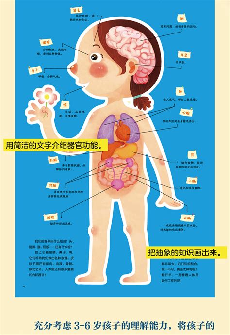 身体认识我自己少儿科普书精装硬壳人体百科全书我们的身体小秘密 阿里巴巴