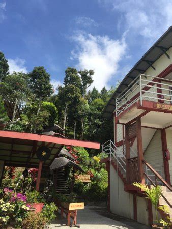 celyn resort kinabalu kundasang malaysia hotel reviews