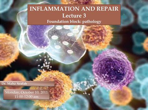 Ppt Inflammation And Repair Powerpoint Presentation Free Download