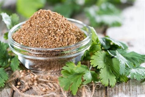 ¿para Qué Sirve El Cilantro ¡descubre Todas Sus Increíbles Propiedades