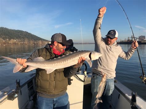 Willamette River - Sturgeon fishing report