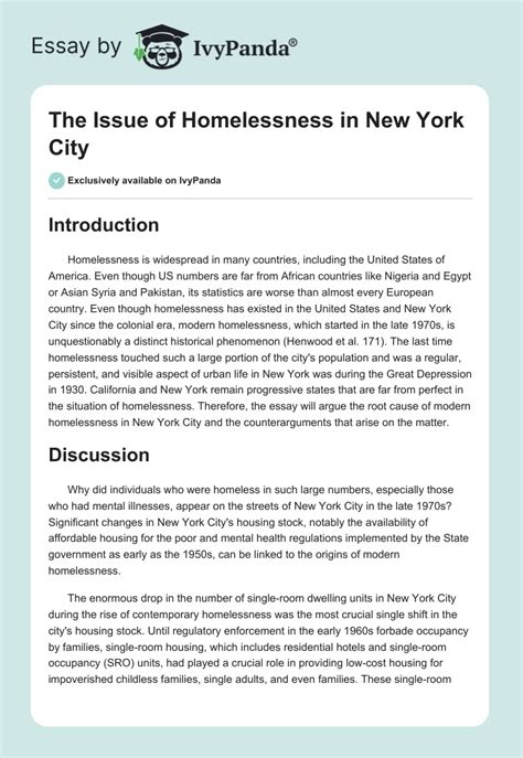 The Issue Of Homelessness In New York City 1125 Words Essay Example