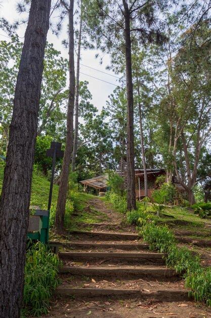 Um Caminho Que Leva A Uma Casa Rvores Ao Fundo Foto Premium