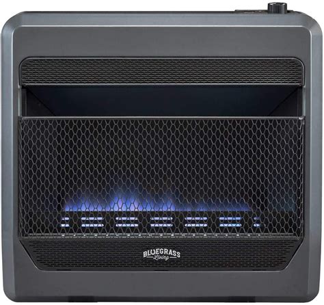 Bluegrass Living Propane Gas Vent Free Blue Flame Gas Space Heater With