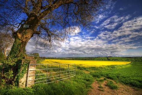 Wallpaper Sunlight Landscape Nature Sky Field Branch Evening