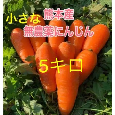 ★熊本産無農薬小さなにんじん5キロ★の通販 By ななこs Shop｜ラクマ