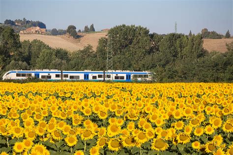 Tuscany Vs Florence Which Italian Gem To Visit In 2025 Experts Guide
