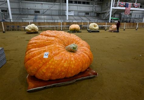 39th Annual New England Giant Pumpkin Weigh Off At Topsfield Fair