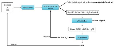 Molecules Free Full Text Deep Eutectic Solvents For Pretreatment Extraction And Catalysis