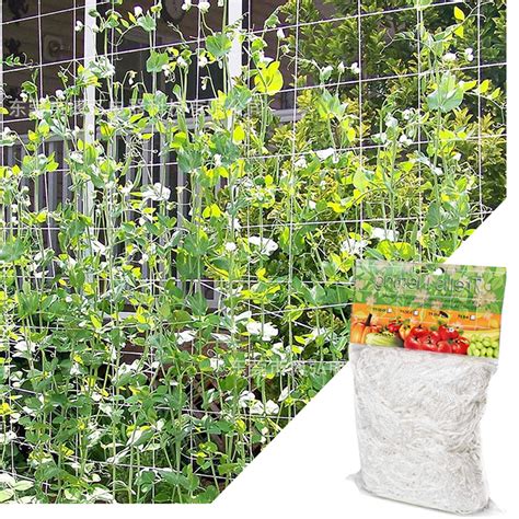 Tuteur Plante Filet En Treillis Pour Plantes Tuteur Plante En Polyester