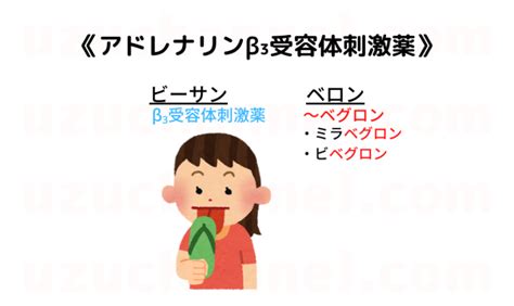 【ゴロ】アドレナリンβ₃受容体刺激薬 ゴロナビ〜薬剤師国家試験に勝つ〜