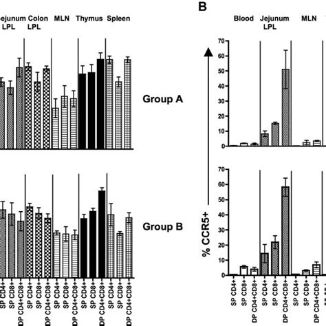 Increased Ccr5 Expression By Dp Cd4 ؉ Cd8 ؉ T Cells Subsets In