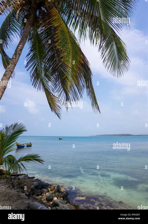 Panam Las Islas De San Blas Mamitupu Tribu Kuna Isla Tropical En El