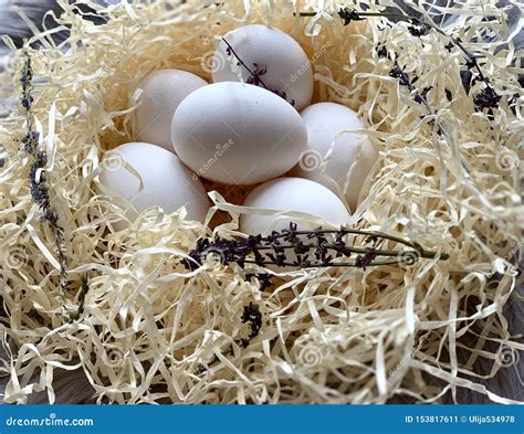 Chicken Eggs In The Nest Beautiful White Eggs Stock Image Image Of