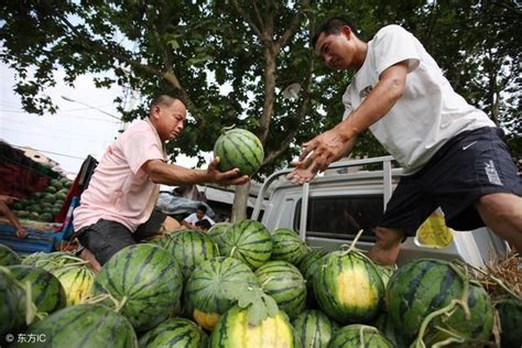 卖西瓜怎么样吸引顾客 发朋友圈晒西瓜说说 怎么卖西瓜卖得快 大山谷图库