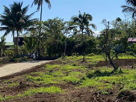 Farm Lot For Sale In Mendez Cavite Lots October 2023 In Mendez