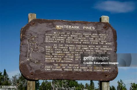 39 Crater Lake National Park Sign Stock Photos High Res Pictures And
