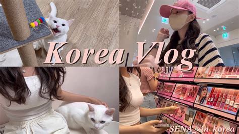 中文）vlog 중국 유학생의 여름방학 한국 브이로그 🌱 고양이 🐱 언니야가 놔주는 주사 💉 엄빠랑 골프 ⛳️