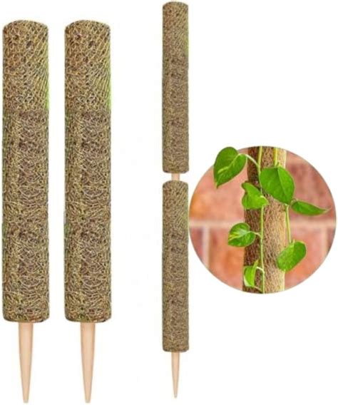 Amazon 27 Inches Coir Totem Pole For Climbing Plants 2 Pack Of