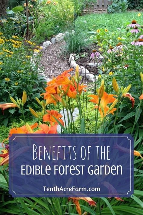 Benefits Of The Edible Forest Garden Tenth Acre Farm