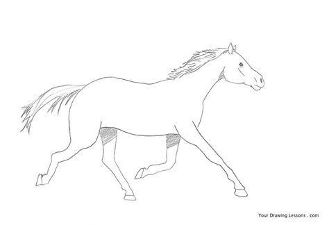 Free Horse Drawing, Download Free Horse Drawing png images, Free ClipArts on Clipart Library