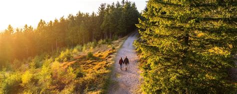 Naturpark Thüringer Wald Startseite