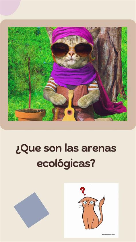 Tipos De Arena Para Gatos Ventajas Y Desventajas De Cada Tipo Artofit