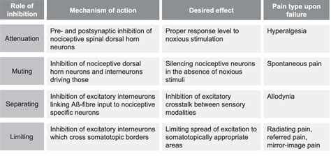 Figure 4 From Models And Mechanisms Of Hyperalgesia And Allodynia