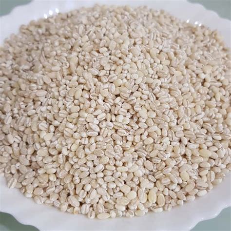 Jual Bahan Mentah Bahan Mentah Asli Barley Biji Jali Jali 1 Kg