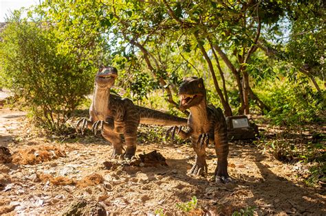 Maior Parque De Dinossauros Da Am Rica Latina Inaugurado No Cear