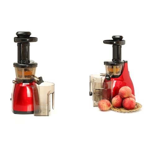 slow masticating juicer recipes