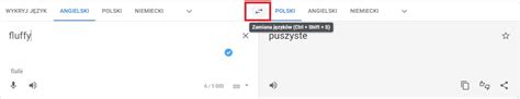 T Umacz Google Najlepszych Funkcji Kt Re Warto Zna Nano