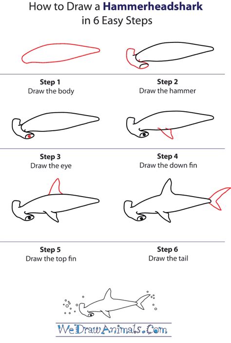 How To Draw A Hammerhead Shark