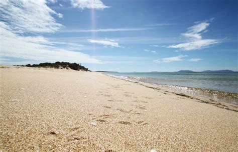 Coffin Bay National Park Coffin Bay Attraction South Australia