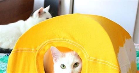 Cómo Hacer Una Casita De Gato Hecha Con Una Playera Paso A Paso Tente