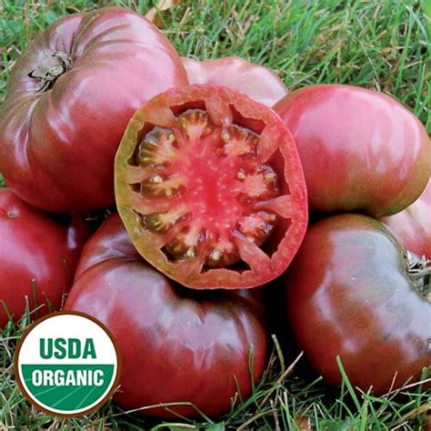 Cherokee Purple Organic Tomato Seed Savers Exchange