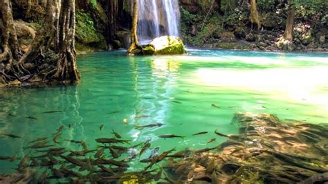 Erawan Falls | Olsen Tours