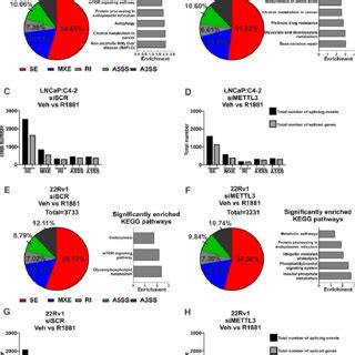 Knockdown Of METTL3 Influences Androgen Induced Splicing In PCa Cell