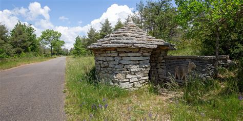 Themed Tours From Aubrac To The Gorges Du Tarn From Aubrac To The