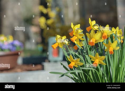 Flower Decoration Grave Hi Res Stock Photography And Images Alamy
