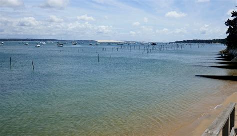 Village De L Herbe Presqu Le Du Cap Ferret Bassin D Arcachon