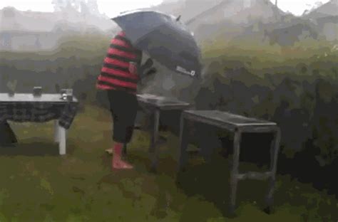 IRTI - funny GIF #1827 - tags: British BBQ rain wind umbrella