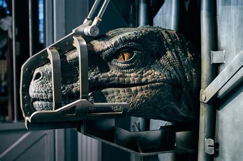 Universal Orlando Resort Reveals Details About The Velociraptors In Jurassic World Velocicoaster