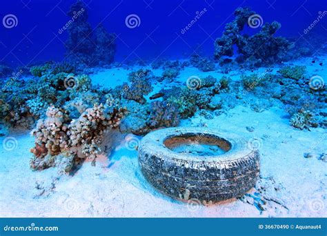 Marine pollution stock photo. Image of diving, outdoor - 36670490