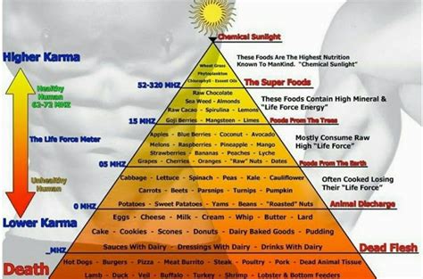 High Vibe Foods Vibrational Frequency Raise Frequency Feeling