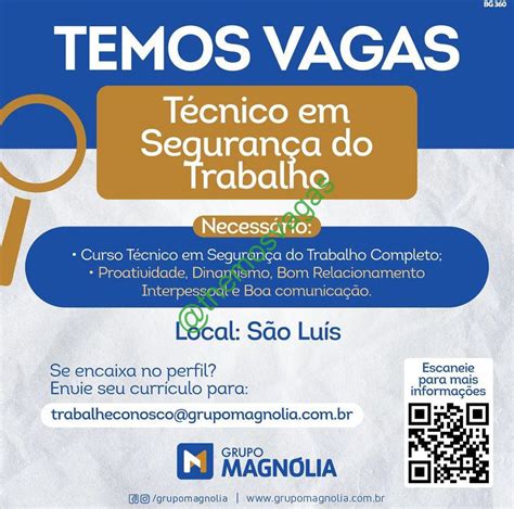 T Cnico Em Seguran A Do Trabalho S O Lu S Ma Vaga S Themos